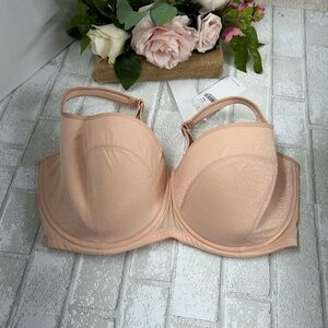 Elegant Women's Blush Bra